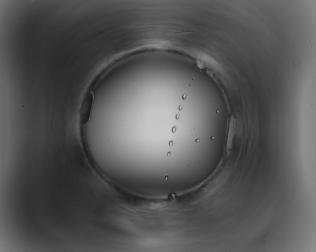 X0000089831326200706281204