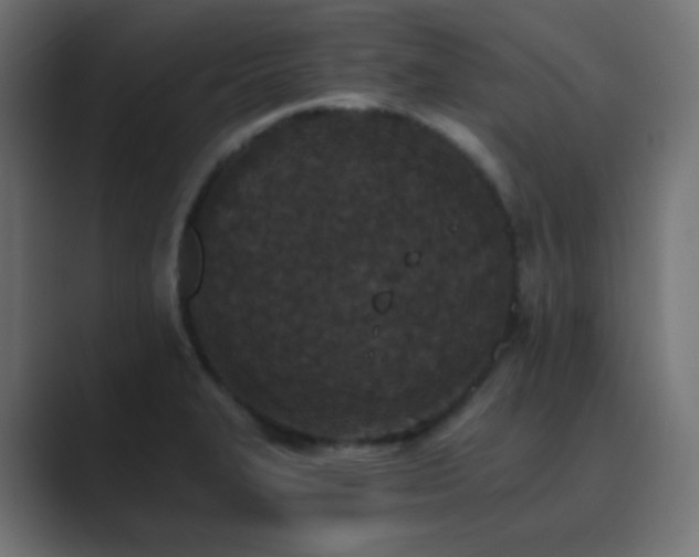 X0000089831327200706281204