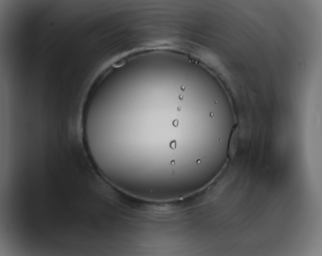 X0000089831328200706281204