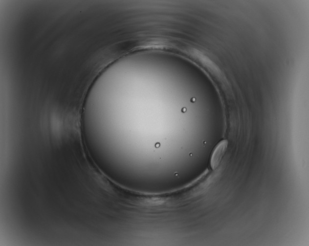 X0000089831329200706281205