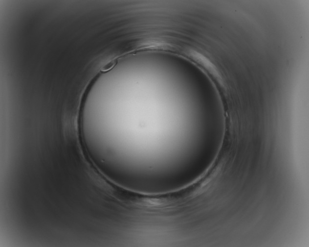 X0000089831330200706281205