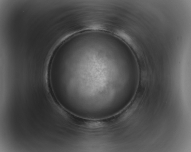 X0000089831331200706281205