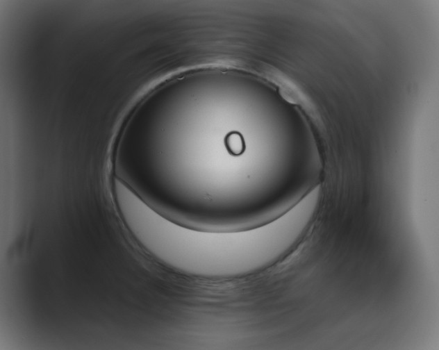 X0000089831332200706281205