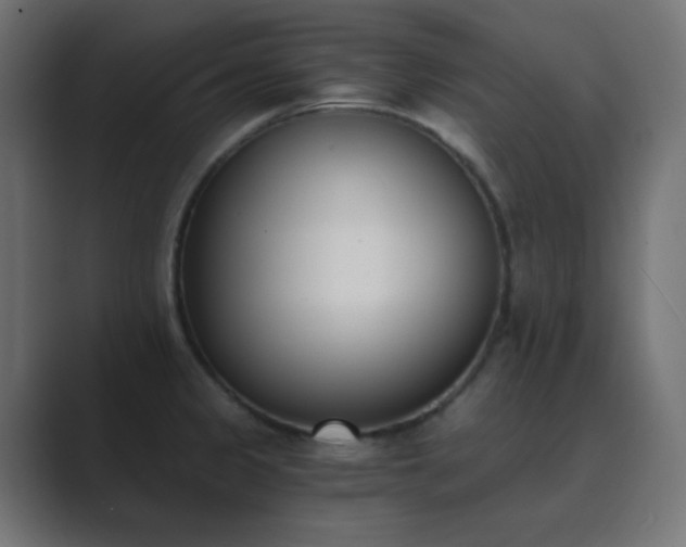 X0000089831333200706281205