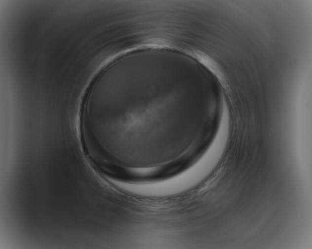 X0000089831334200706281205