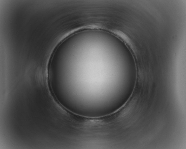 X0000089831335200706281205