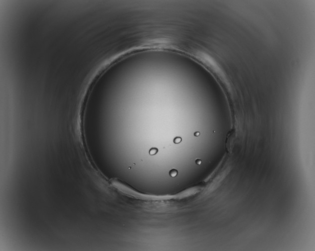X0000089831336200706281205