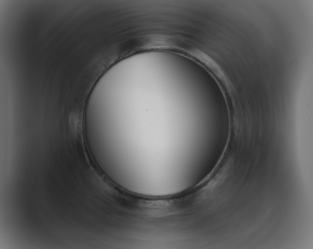 X0000089831337200706281205