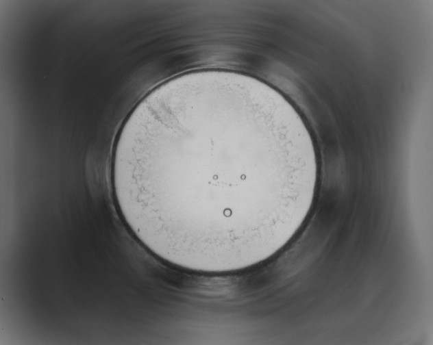 X0000089831338200706281205