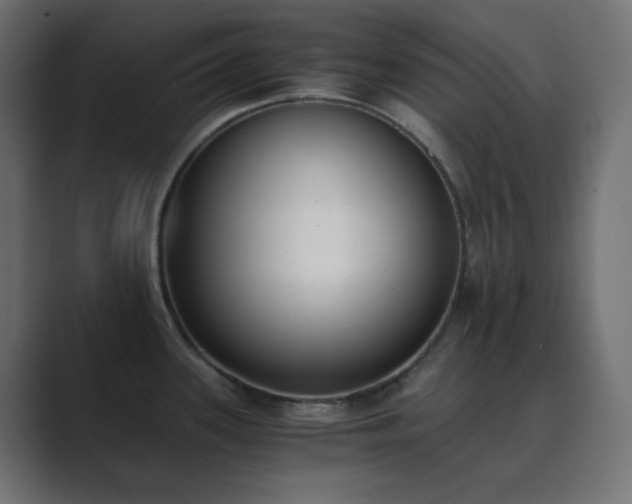 X0000089831339200706281205