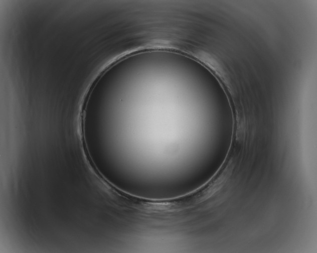 X0000089831342200706281205