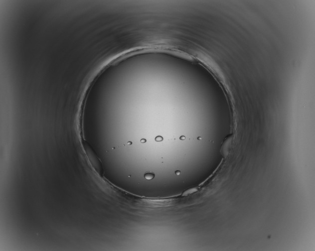 X0000089831344200706281205