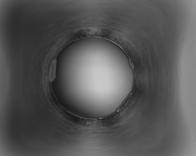 X0000089831345200706281204