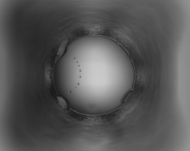 X0000089831346200706281204