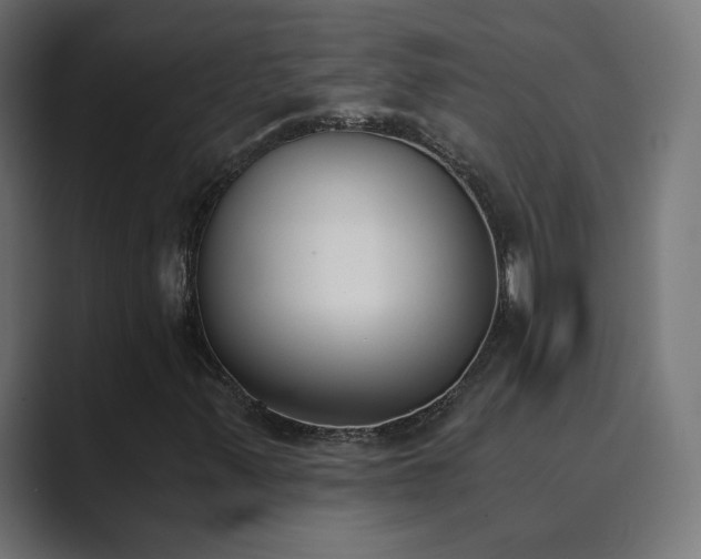 X0000089831347200706281204