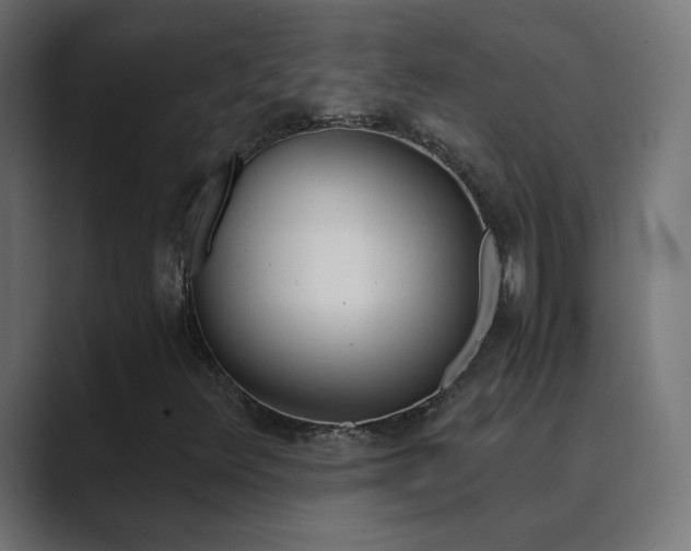X0000089831348200706281204