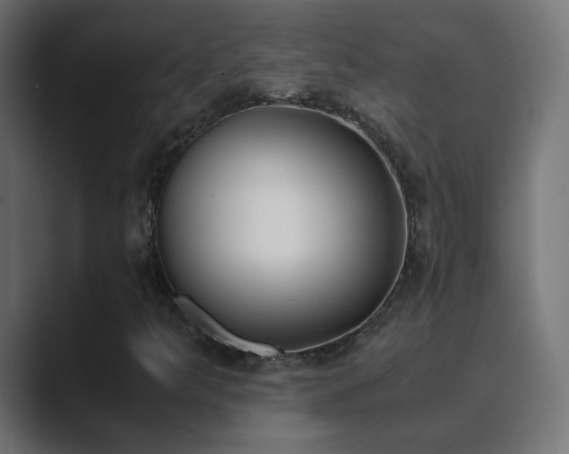 X0000089831349200706281204