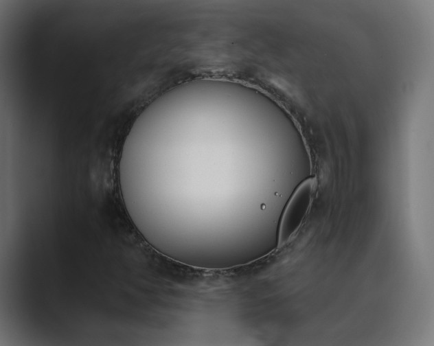 X0000089831350200706281204