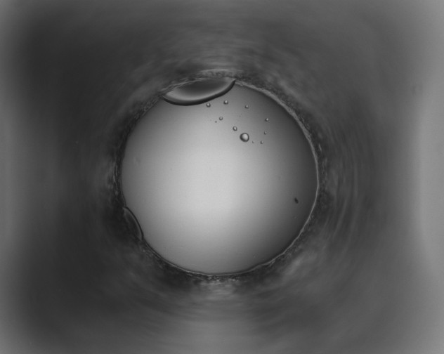 X0000089831351200706281204