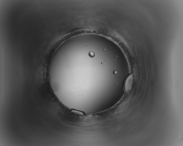 X0000089831352200706281204