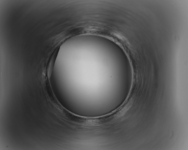 X0000089831353200706281204