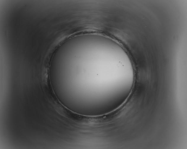 X0000089831355200706281204