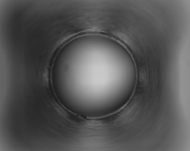 X0000089831356200706281204