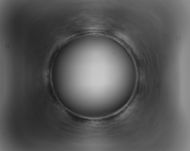 X0000089831357200706281204