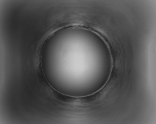 X0000089831359200706281204