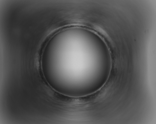 X0000089831360200706281204