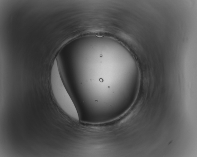 X0000089831361200706281204