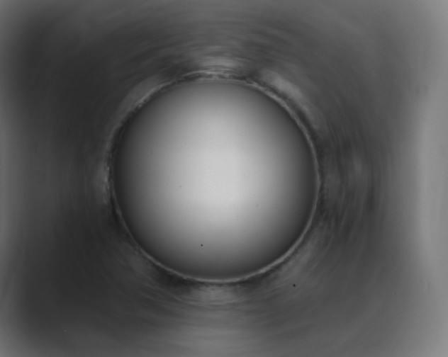X0000089831362200706281204