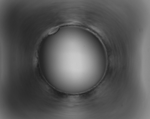 X0000089831363200706281204