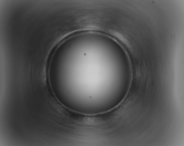 X0000089831364200706281204