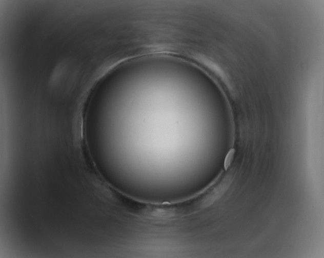 X0000089831365200706281204