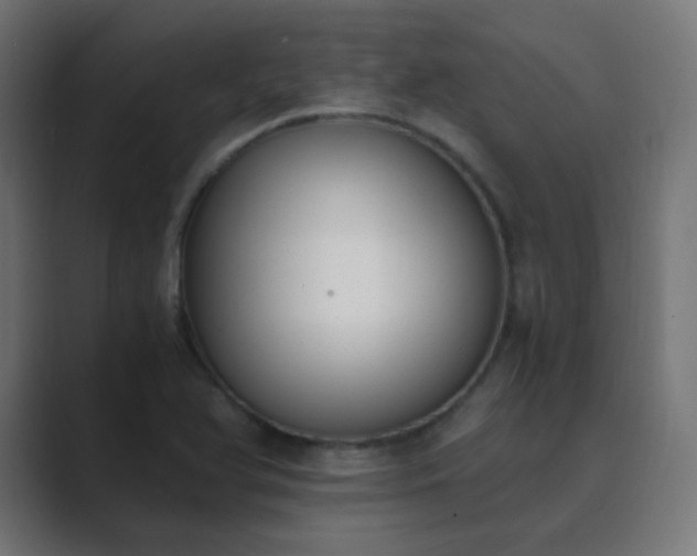 X0000089831366200706281204