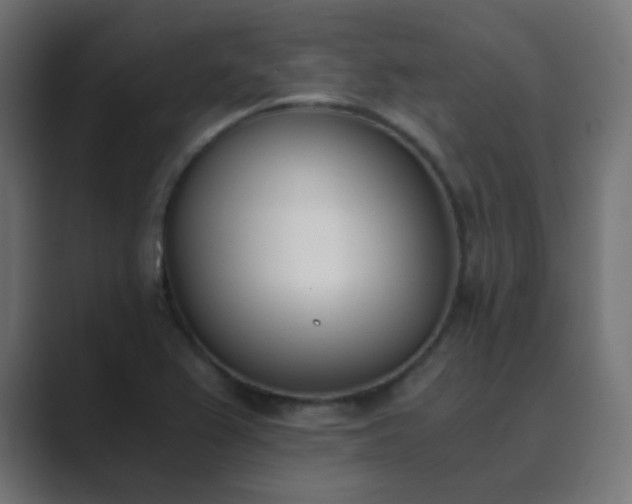 X0000089831367200706281204