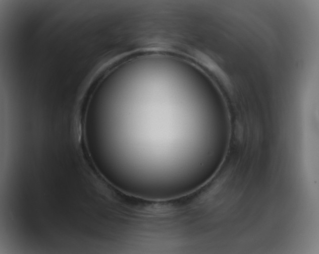 X0000089831368200706281204