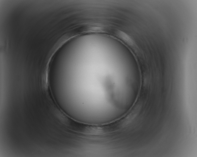 X0000089831370200706281204