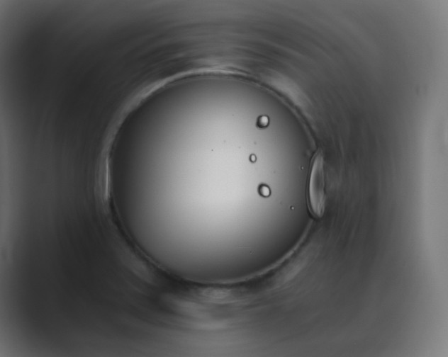 X0000089831371200706281204