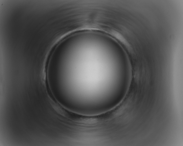 X0000089831372200706281204