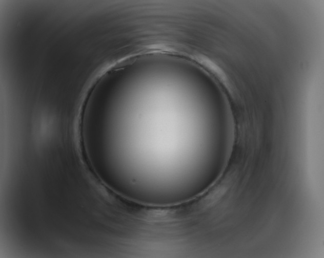 X0000089831373200706281204