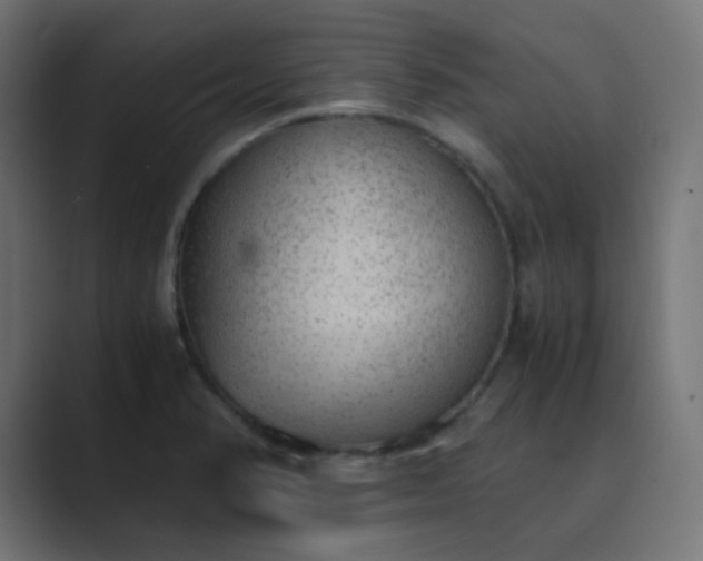 X0000089831374200706281204