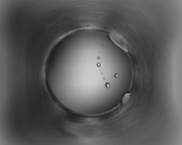 X0000089831375200706281204