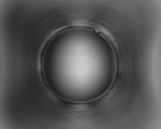 X0000089831376200706281204