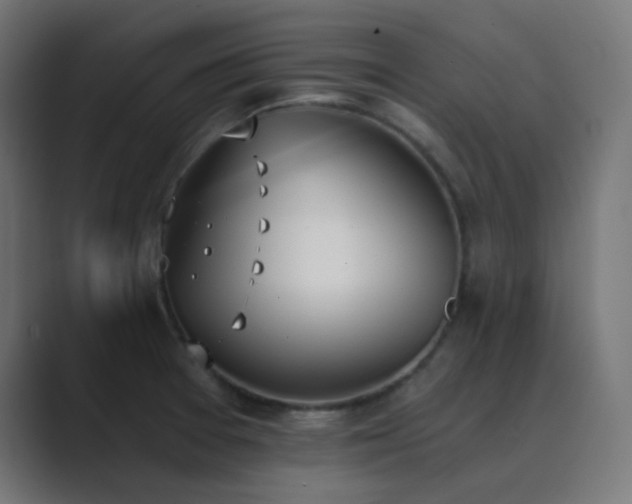 X0000089831377200706281204