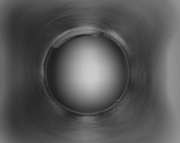 X0000089831380200706281204