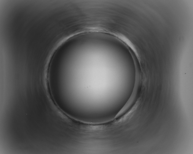 X0000089831381200706281204