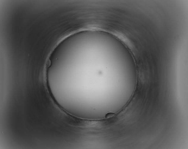X0000089831382200706281204