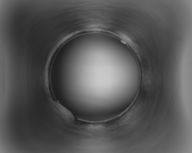 X0000089831384200706281204